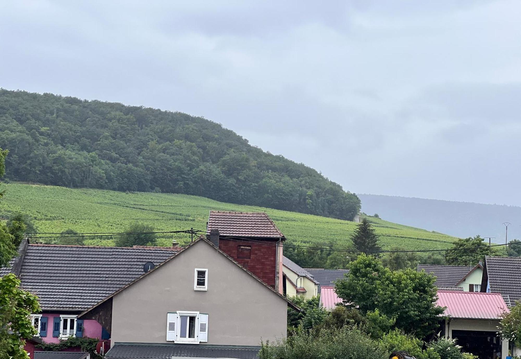 Gites Du Bel Alsace Cote Vignoble Westhalten Екстер'єр фото